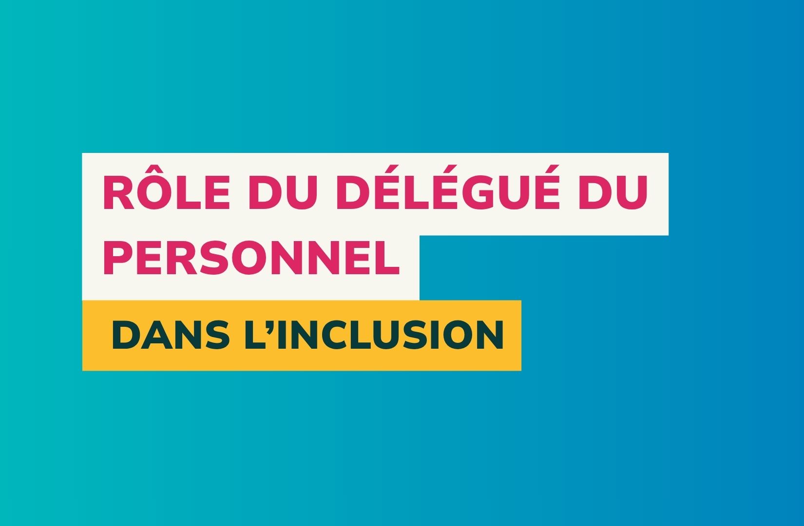 vignette article rôle du délégué personnel