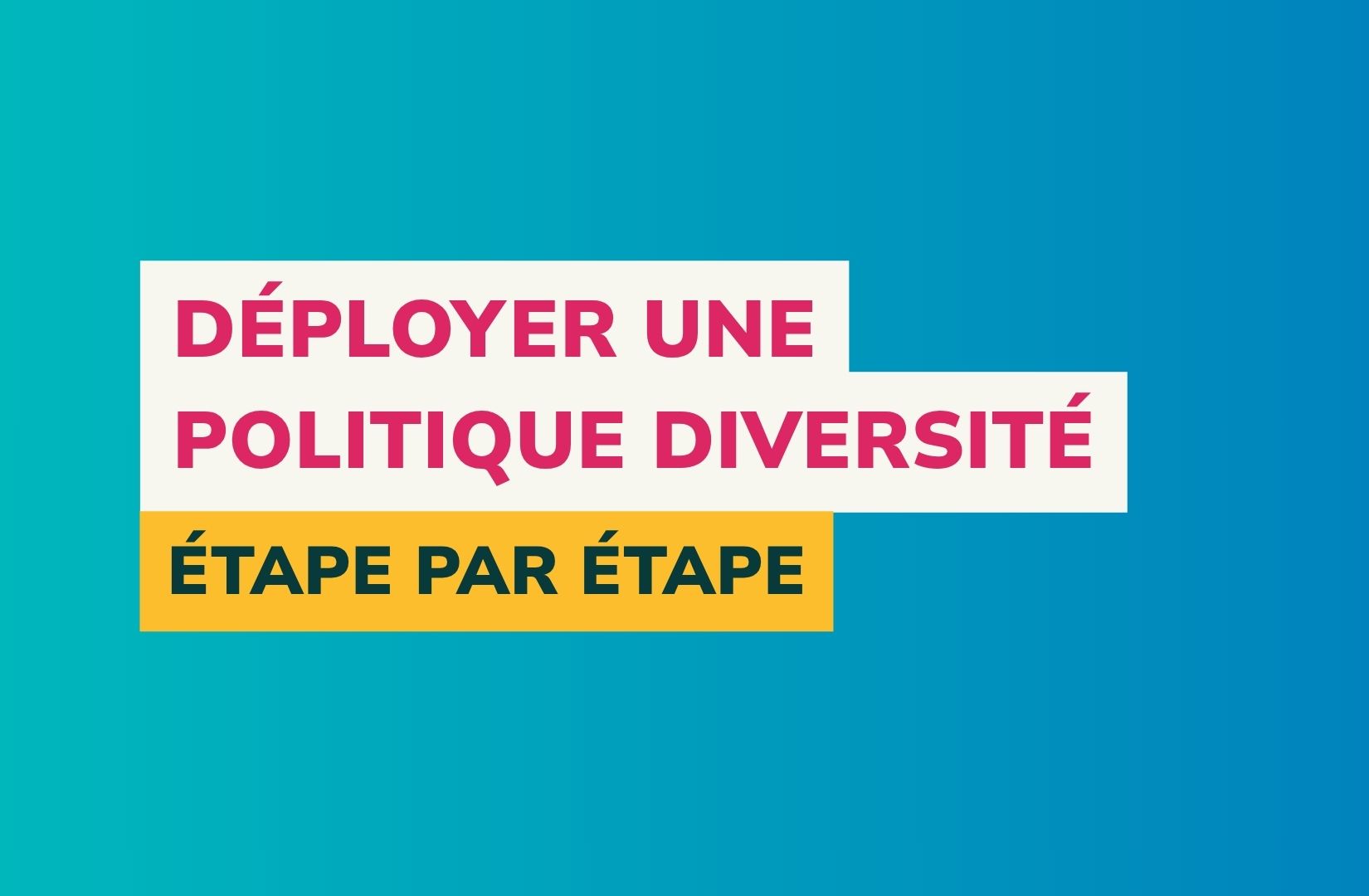 vignette politique diversité