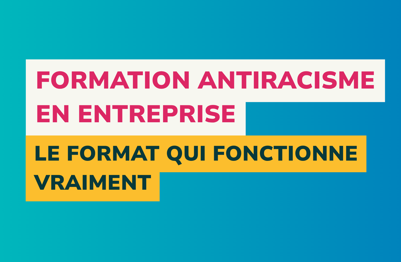 vignette article formation antiracisme